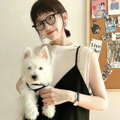 生活的烦恼海报