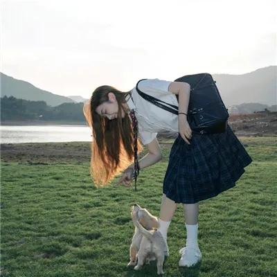最后的狮子海报