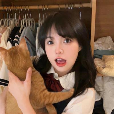 田野海报
